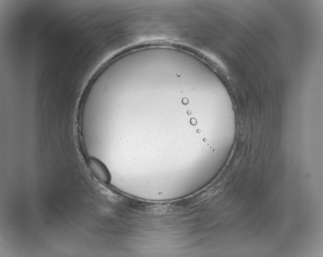 X0000073901279200608110926