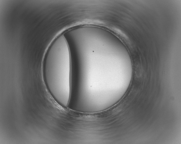 X0000073901280200608110926
