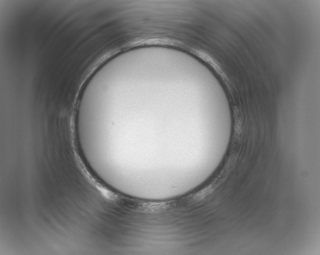 X0000073901282200608110926