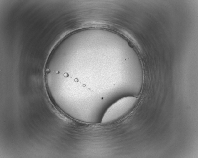X0000073901283200608110926