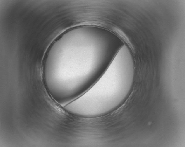 X0000073901284200608110926