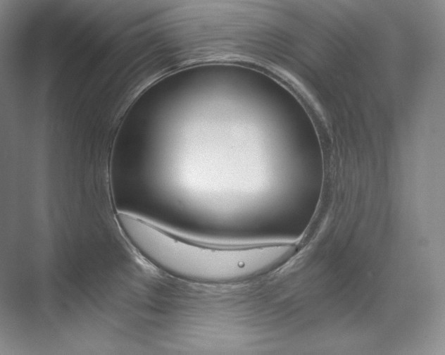 X0000073901289200608110926