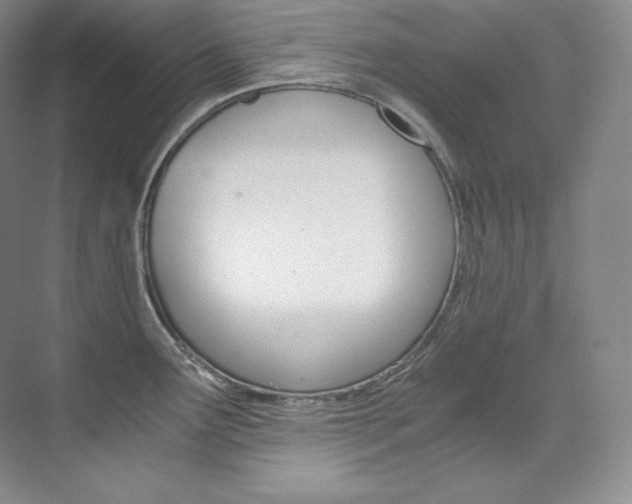 X0000073901291200608110926