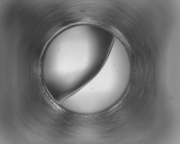 X0000073901292200608110926