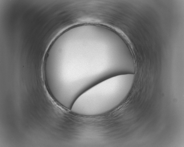 X0000073901295200608110926