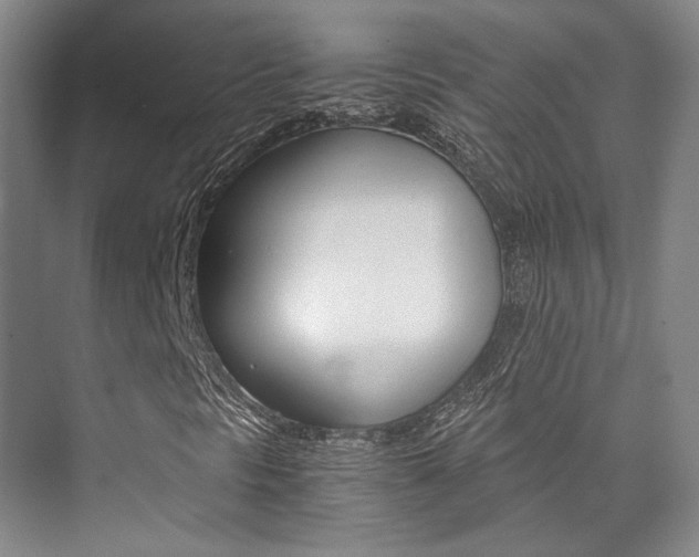 X0000073901297200608110925