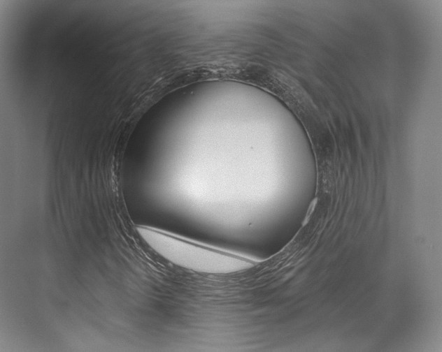 X0000073901298200608110925