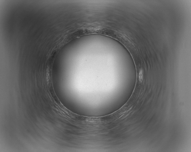 X0000073901299200608110925
