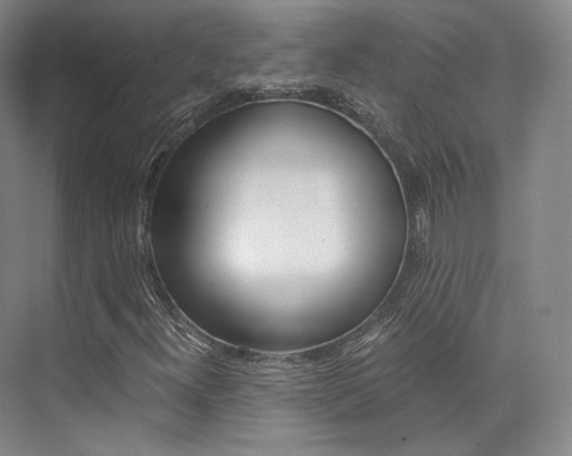 X0000073901300200608110925