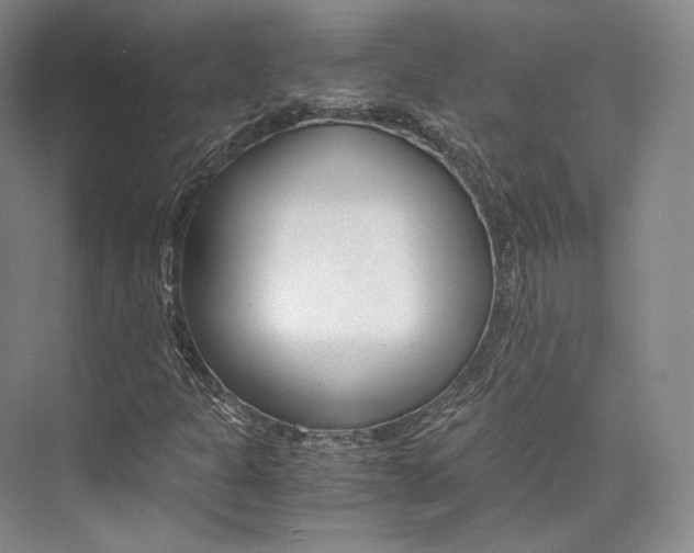 X0000073901301200608110925
