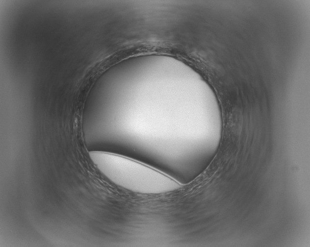 X0000073901302200608110925