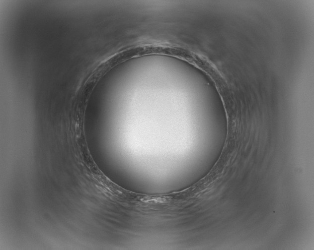 X0000073901303200608110925