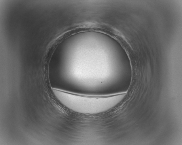 X0000073901304200608110925