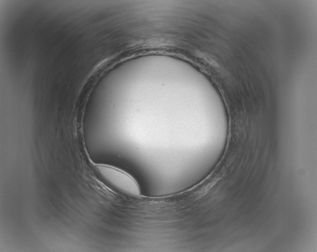 X0000073901306200608110925