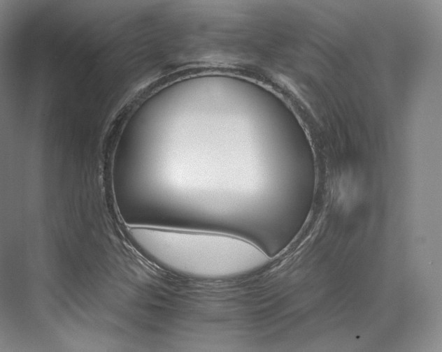 X0000073901307200608110925