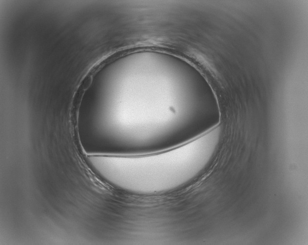 X0000073901308200608110925