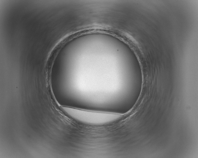 X0000073901310200608110925
