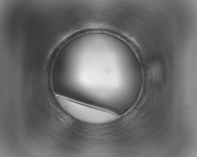 X0000073901311200608110925