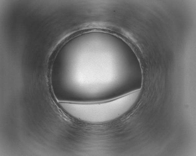 X0000073901312200608110925