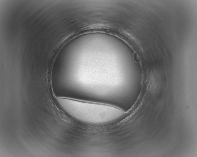 X0000073901313200608110925