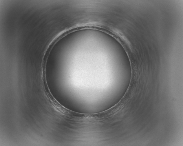 X0000073901316200608110925