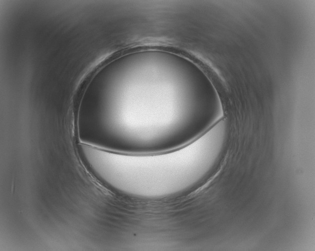 X0000073901317200608110925