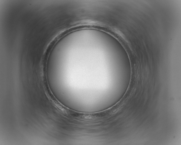 X0000073901318200608110925