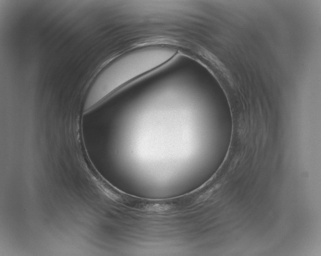 X0000073901321200608110925