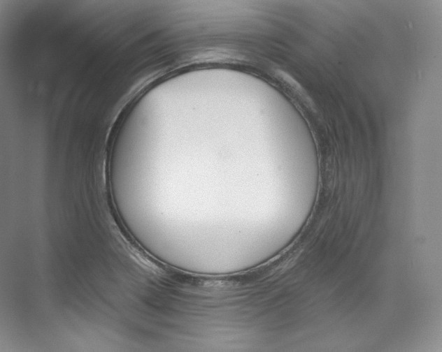 X0000073901322200608110925