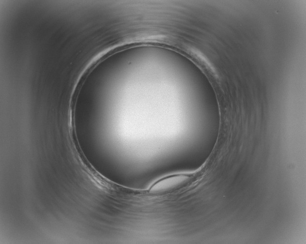 X0000073901324200608110925