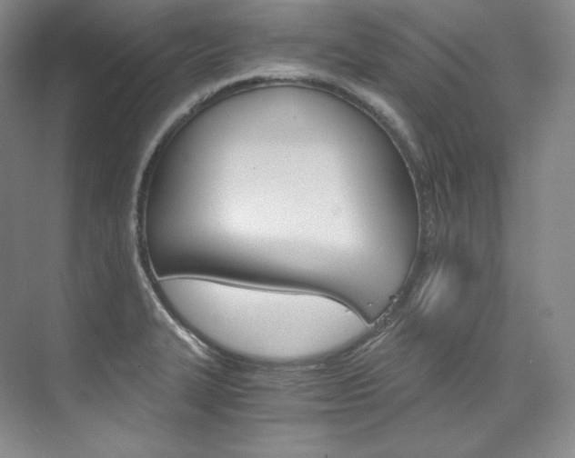 X0000073901327200608110925