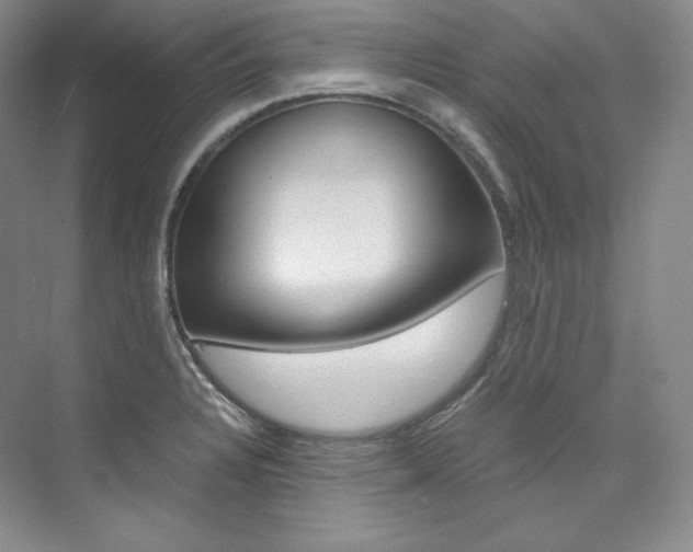 X0000073901328200608110925