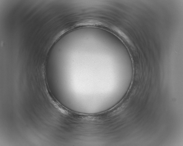 X0000073901329200608110925