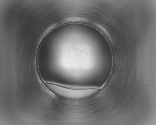 X0000073901330200608110925