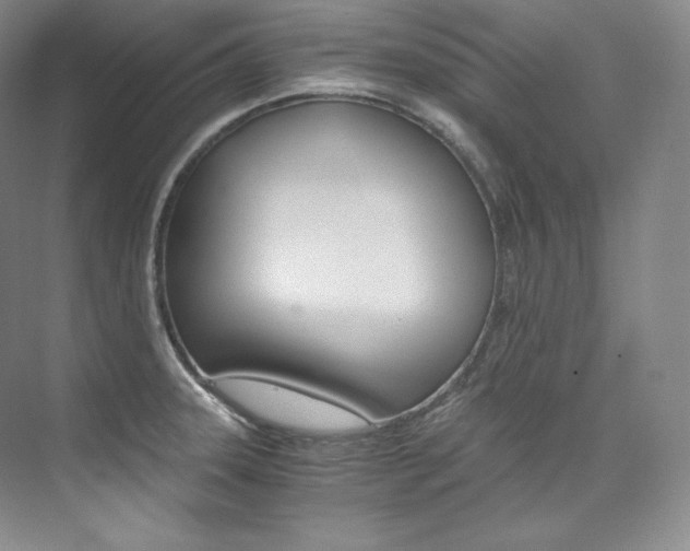 X0000073901331200608110925