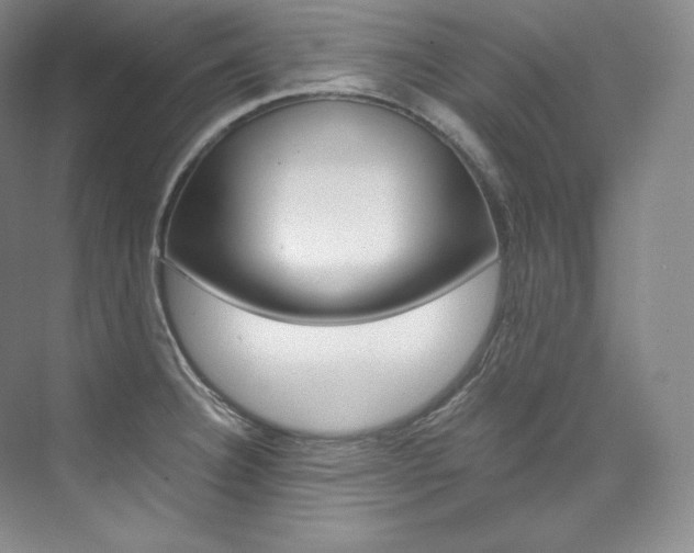 X0000073901332200608110925