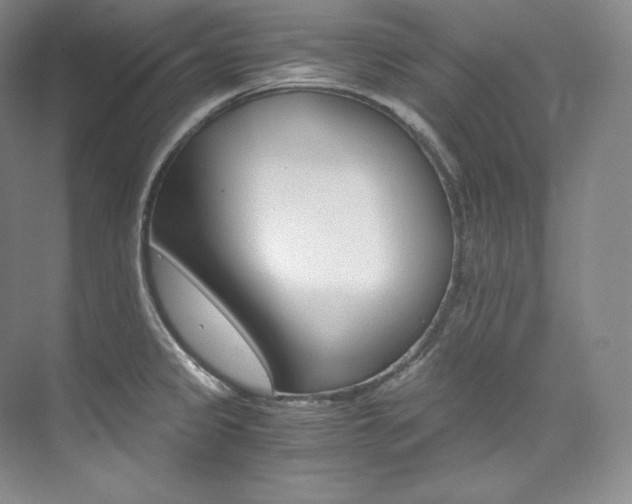 X0000073901333200608110925