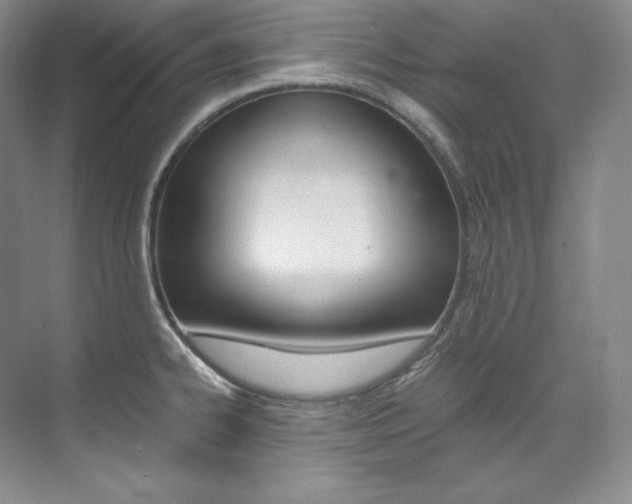 X0000073901334200608110925