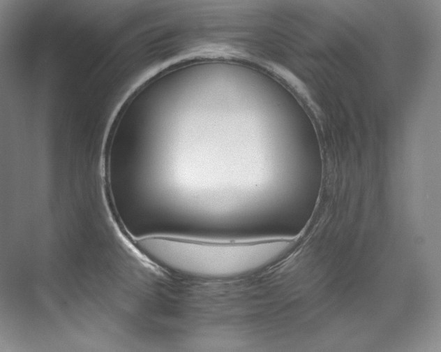 X0000073901335200608110926