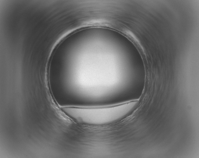 X0000073901336200608110926