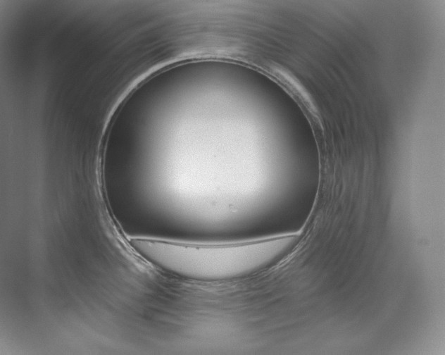 X0000073901340200608110926