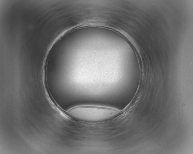 X0000073901341200608110926