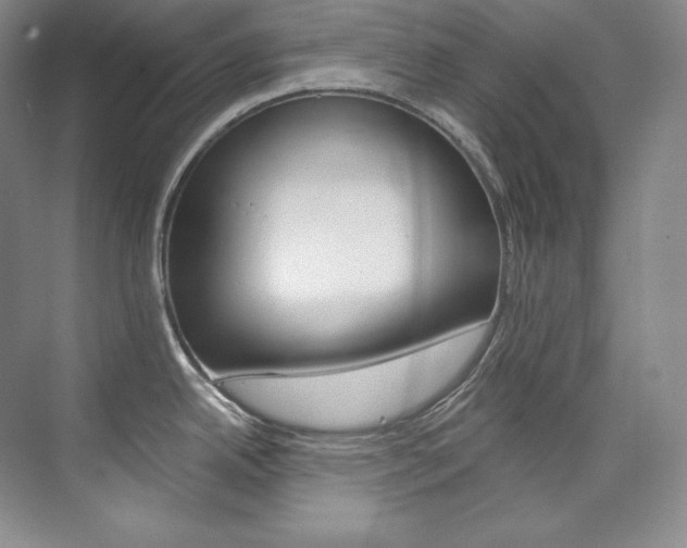 X0000073901342200608110926