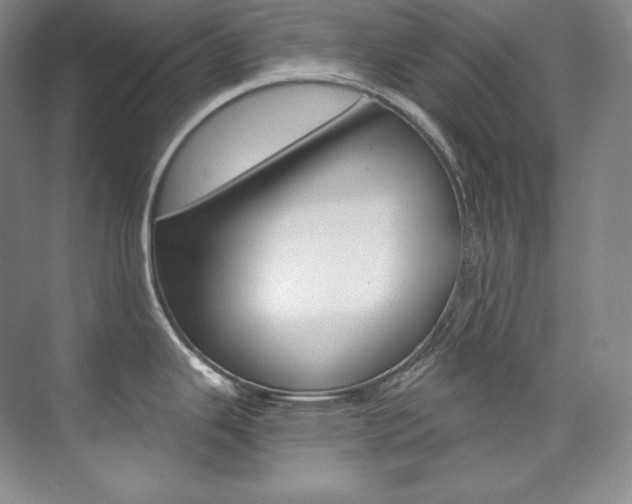 X0000073901343200608110926