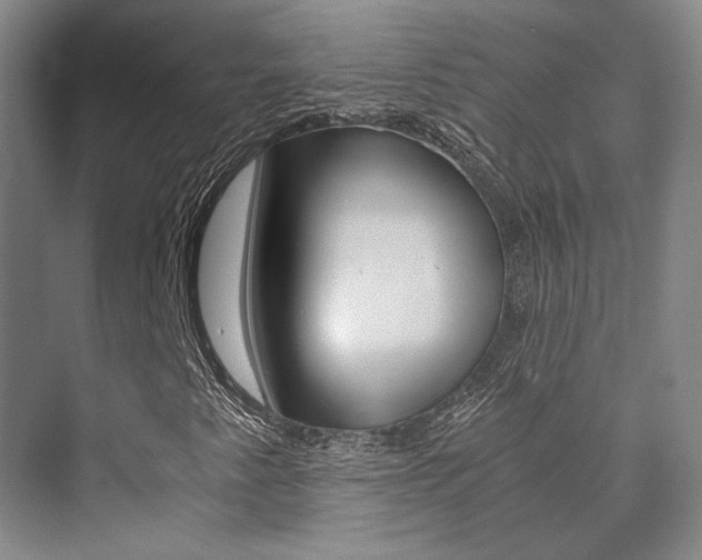X0000073901345200608110925