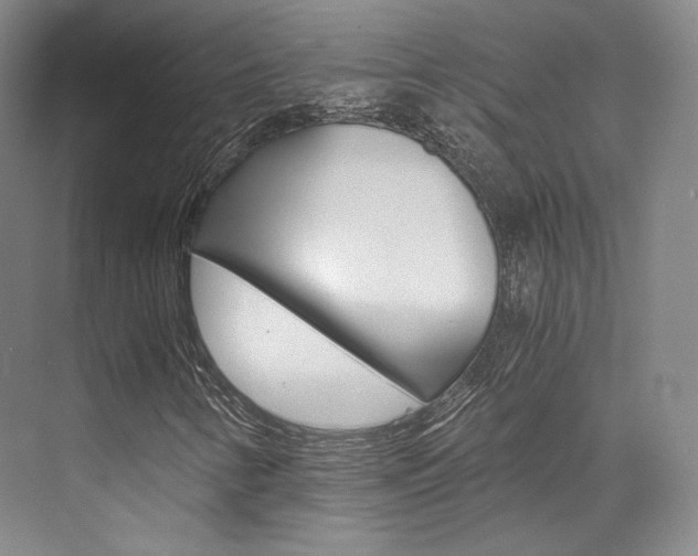X0000073901346200608110925