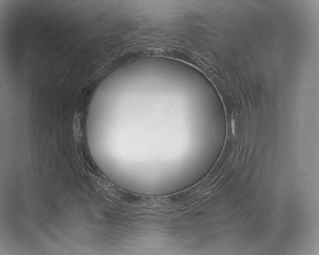 X0000073901347200608110925