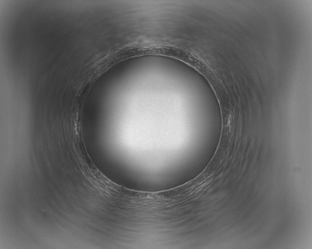 X0000073901348200608110925
