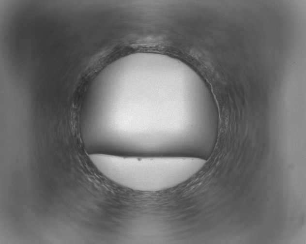 X0000073901350200608110925