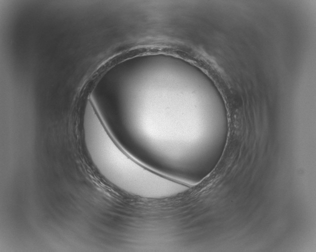 X0000073901352200608110925